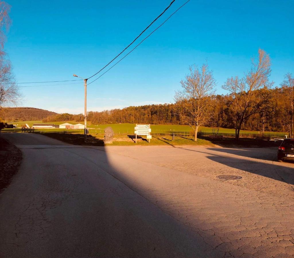 Gite D'Han Le Coin Han-sur-Lesse Bagian luar foto